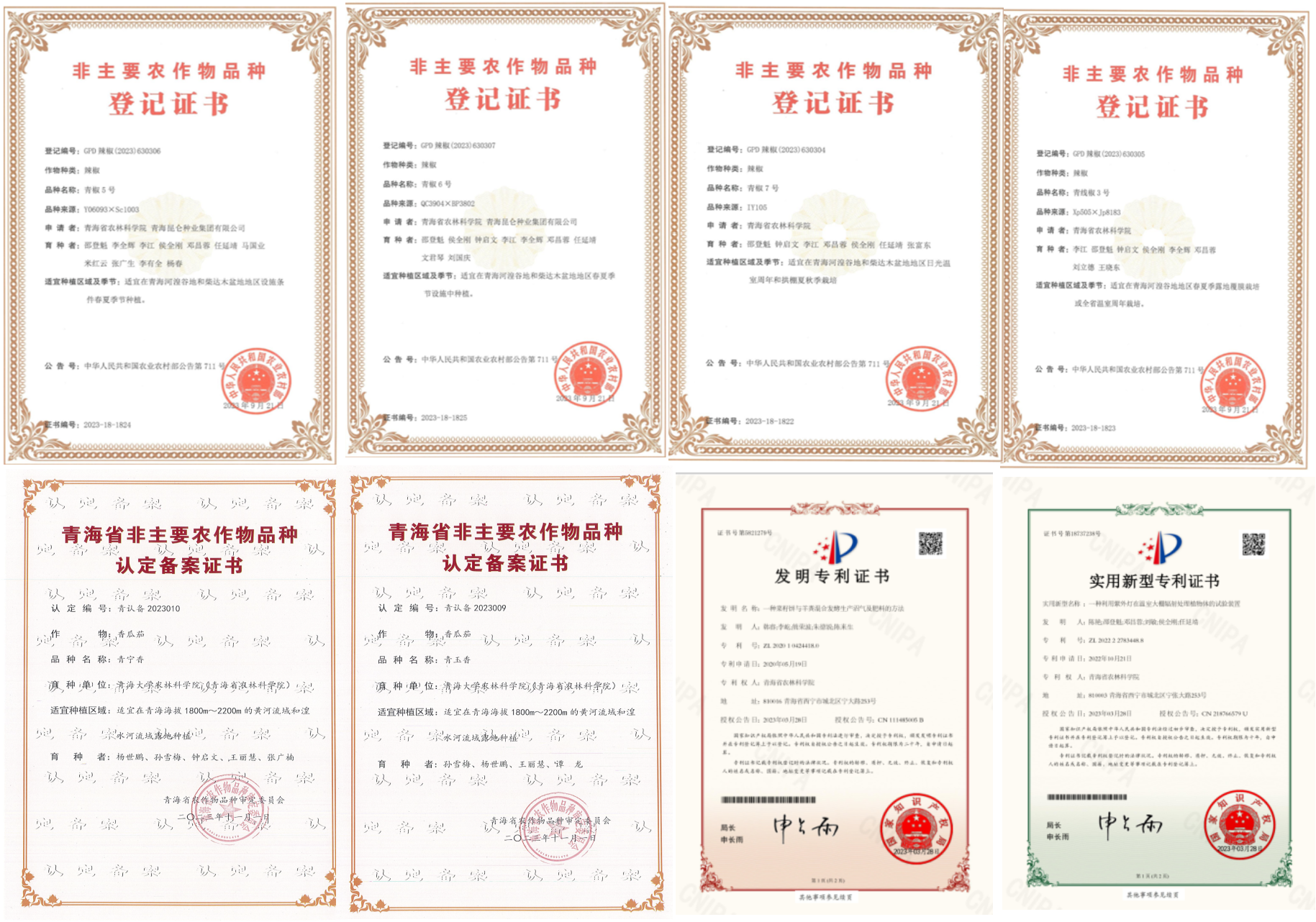 d3bcf103c0c84704a68a023810f03340.png 927455eab96e4f989da998015417adeb.png